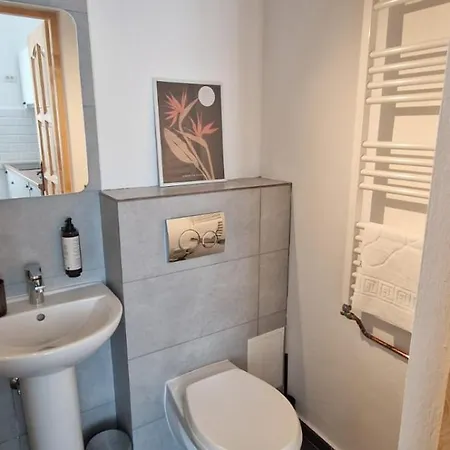 Apartment Rossmarkt Brasov